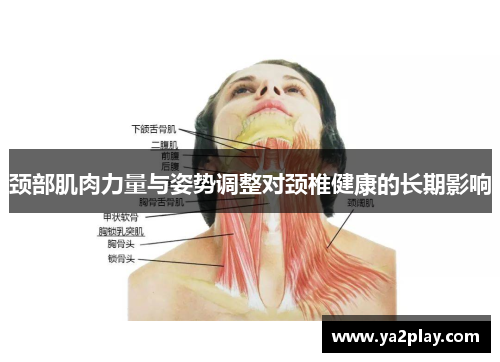 颈部肌肉力量与姿势调整对颈椎健康的长期影响